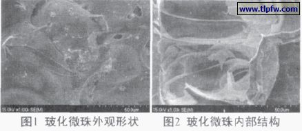 ?；⒅橥庥^形狀及內部結構